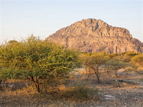 'Botswana' Search .